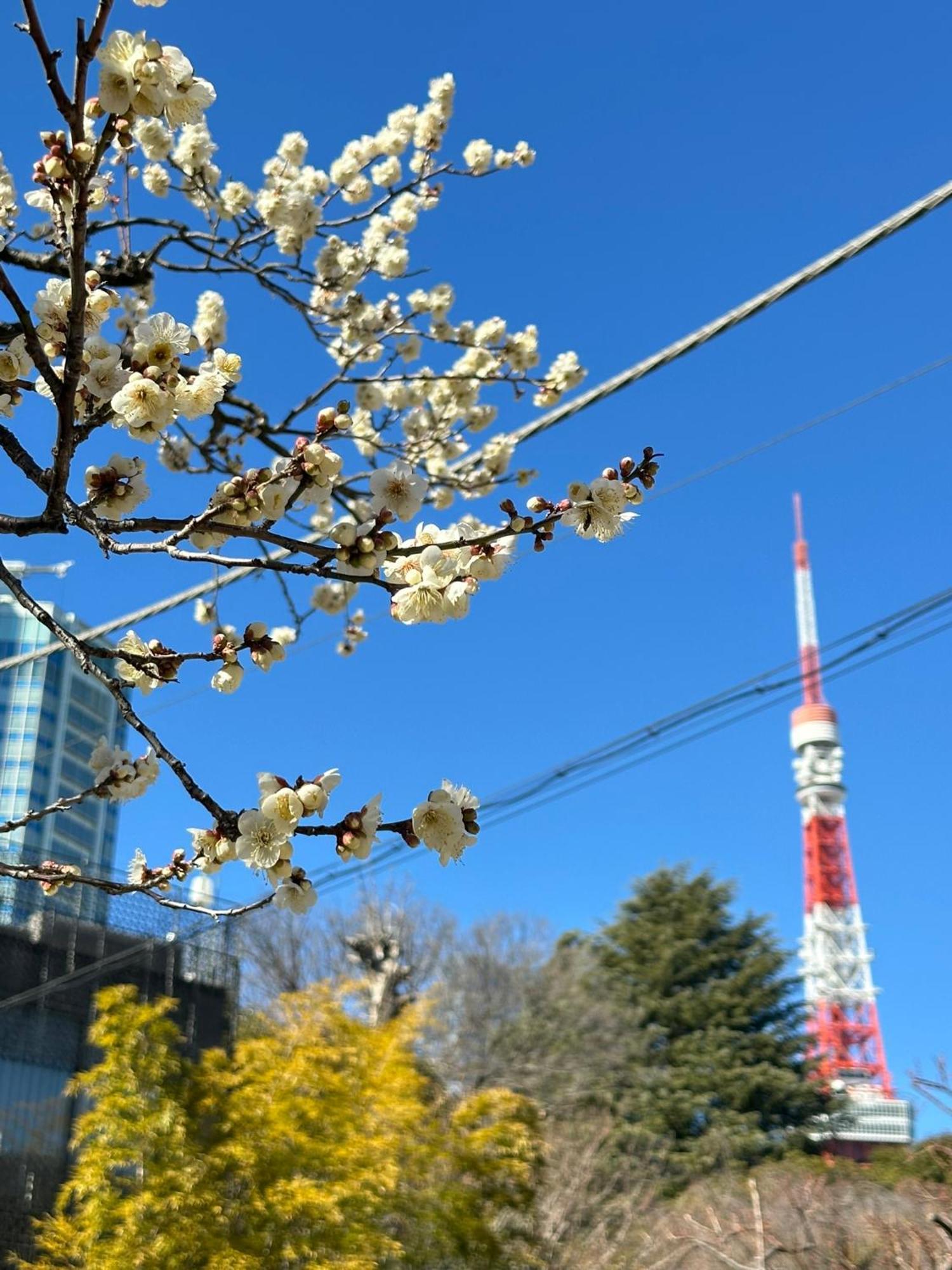 Rose Stay Tokyo Shiba Park Exterior foto